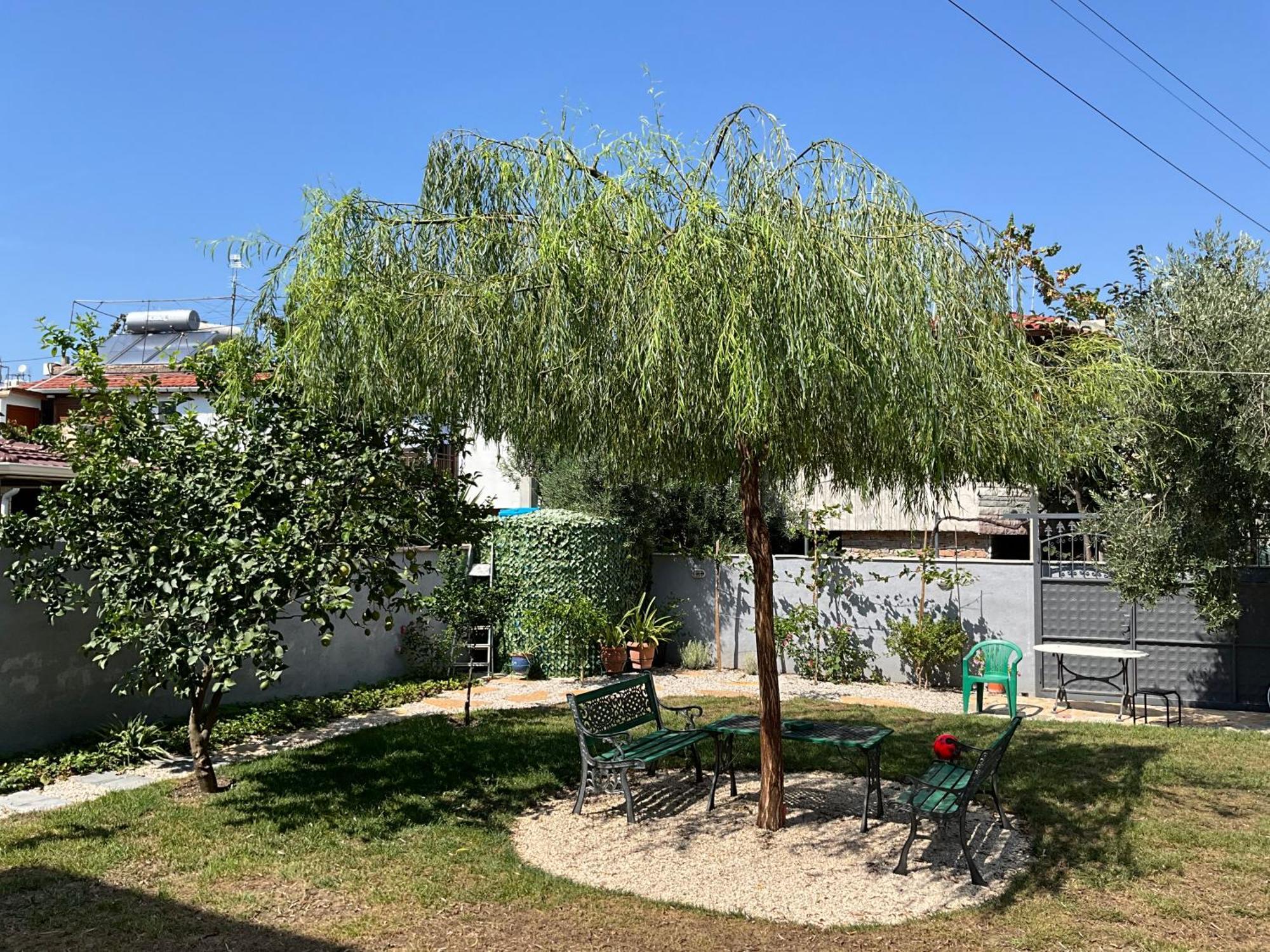 Vlorë Vila Licenji מראה חיצוני תמונה